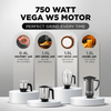 Preethi Galaxy Plus Mixer Grinder for Kitchen - 4 Jars 750 Watt Mixie (3 Stainless steel Jars+1 Super Extractor Juicer Jar), Flexi lids, Vega W5 motor, Black (MG-250)